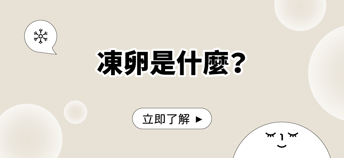 凍卵是甚麼